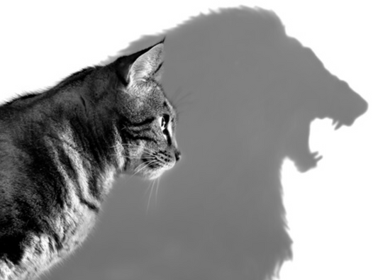 Building Self-Confidence: tips for boosting self-esteem and self-assurance